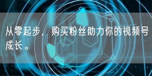 从零起步,购买粉丝助力你的视频号成长。