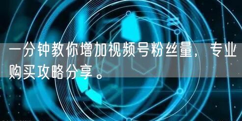 一分钟教你增加视频号粉丝量,专业购买攻略分享。