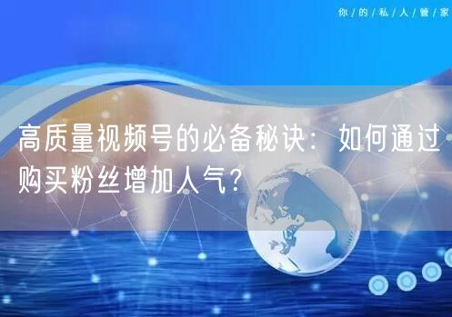 高质量视频号的必备秘诀:如何通过购买粉丝增加人气?
