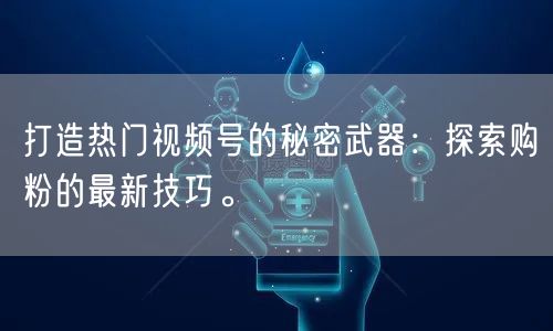 打造热门视频号的秘密武器:探索购粉的最新技巧。