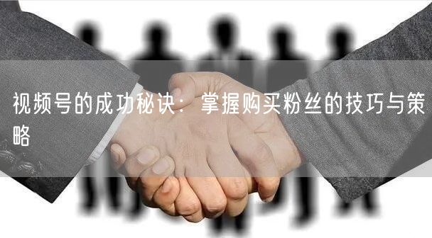 视频号的成功秘诀:掌握购买粉丝的技巧与策略
