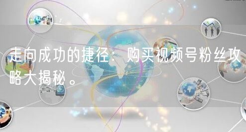 走向成功的捷径:购买视频号粉丝攻略大揭秘。