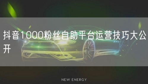 抖音1000粉丝自助平台运营技巧大公开