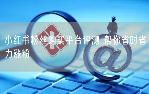 小红书粉丝购买平台评测 帮你省时省力涨粉