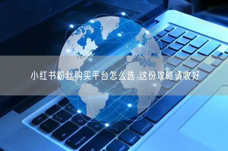 小红书粉丝购买平台怎么选 这份攻略请收好