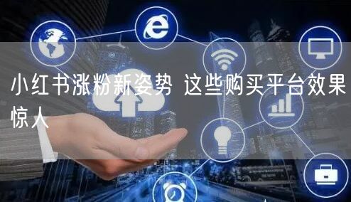 小红书涨粉新姿势 这些购买平台效果惊人